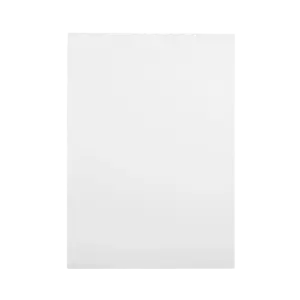 Ecosun E1000K infrarood paneel plafond en wand 120x85cm 1000W
