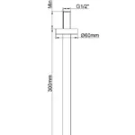 Wiesbaden UniMatch douchearm met plafondbevestiging 30 cm geborsteld messing PVD
