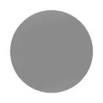 Wiesbaden UniMatch hoofddouche rond 30 x 0,8 cm gunmetal PVD